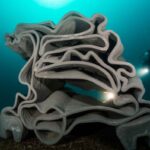 Corales impresos en 3D