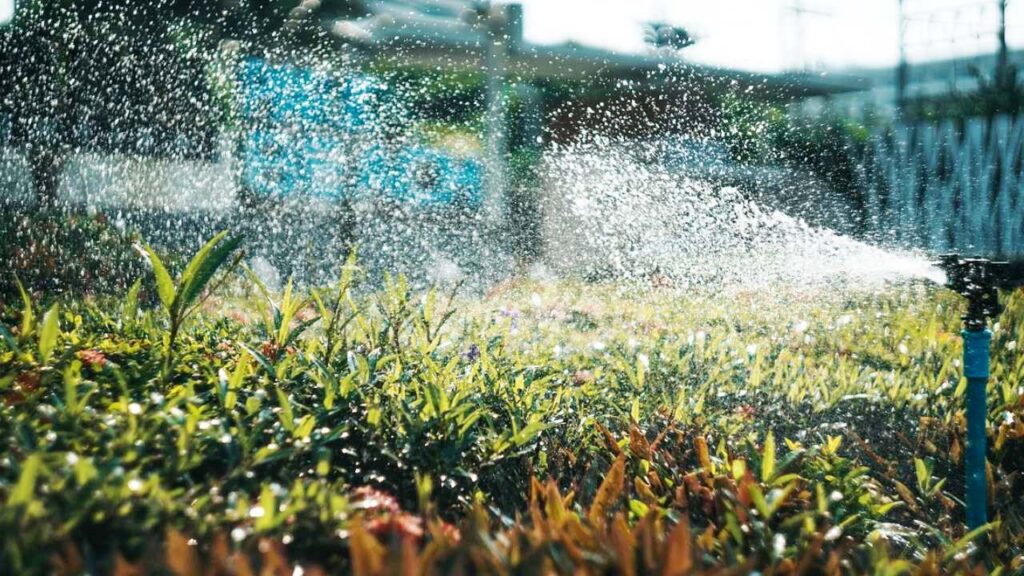 ¿Olas de calor?  Irrigar espacios verdes ayuda mucho según un nuevo estudio - Notizie Scientifiche.it