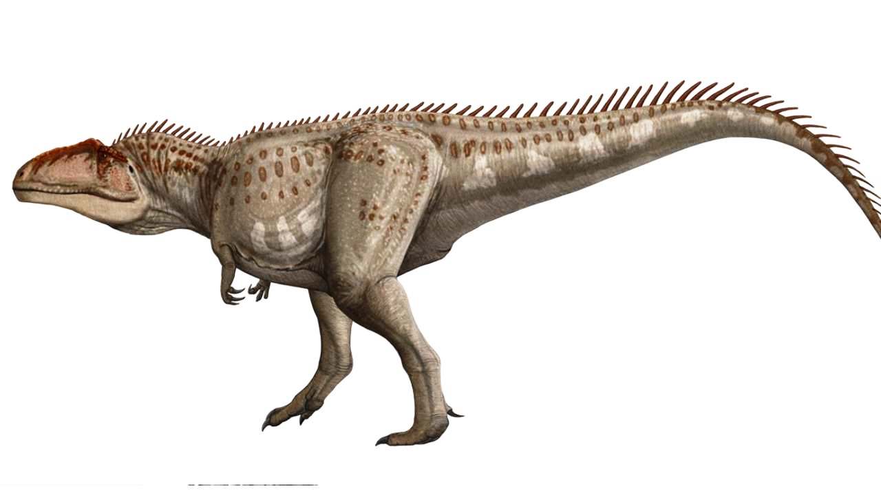 Se ha descubierto nuevo dinosaurio con diminutos «brazos» que se asemejan al Tyrannosaurus Rex con el que, sin embargo, no tiene nada que ver