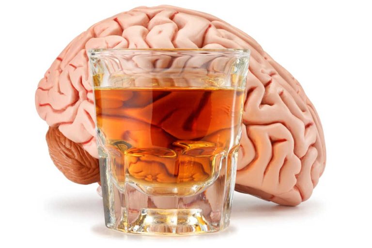 ¿Qué le ocurre a tu cerebro cuando bebes alcohol?