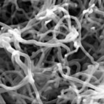 Demostrado Riesgo de cáncer por nanotubos de carbono