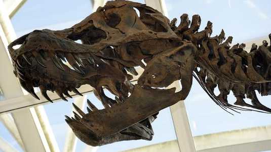 Descubiertas en Escocia huellas de dinosaurios de 170 millones de años de antigüedad