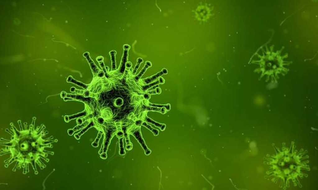 La nanotecnología entrega la vacuna contra la hepatitis B