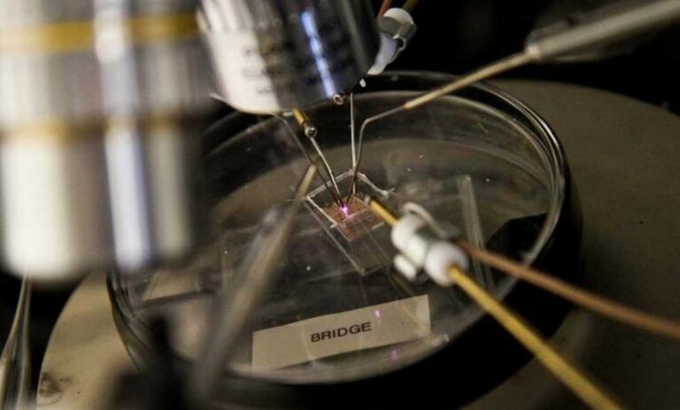 Nuevos Transistores de 1nm de largo, lo más pequeño jamas visto