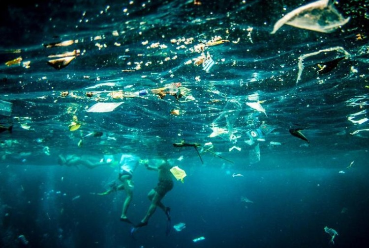 Océanos condenados a muerte, en pocos años estarán invadidos por plásticos y sin vida.