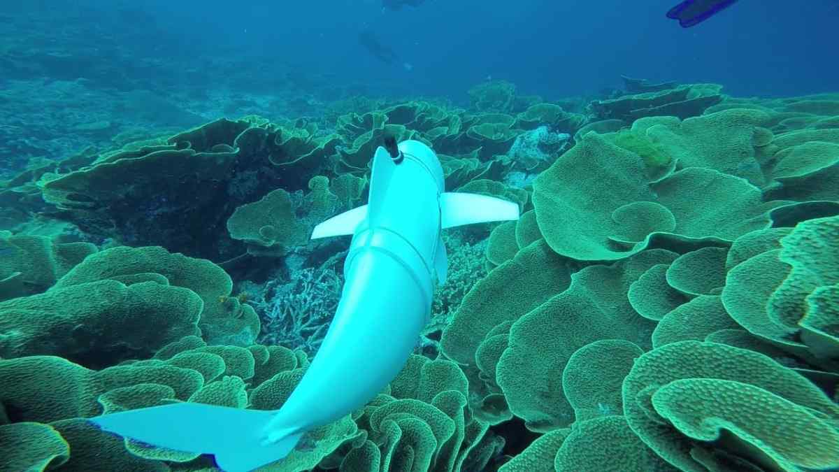 El Soft Robotic Fish del MIT explora arrecifes en Fiji
